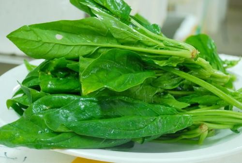 Cải bó xôi: Nổi tiếng là  thực phẩm bổ não vì rất giàu lutein, axit folic và β- carotene, giúp ngăn ngừa bệnh alzheimer hiệu quả. Cơ thể phụ nữ nếu hấp thụ ít hơn 280 miligam magiê mỗi ngày sẽ cảm thấy mệt mỏi, uể oải. Magiê có tác dụng chuyển đổi carbohydrate có trong cơ bắp thành năng lượng có lợi cho cơ thể. Vì thế các nhà thần kinh học khuyến cáo, mọi người nên ăn cải bó xôi ít nhất ba bữa một tuần. Ảnh: 360doc.